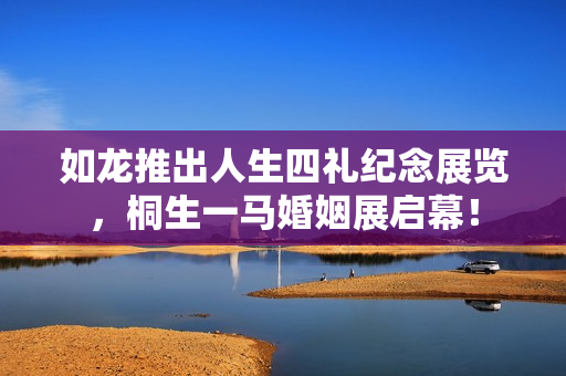 如龙推出人生四礼纪念展览，桐生一马婚姻展启幕！