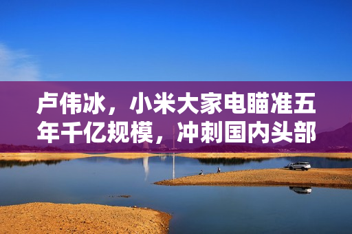 卢伟冰，小米大家电瞄准五年千亿规模，冲刺国内头部地位