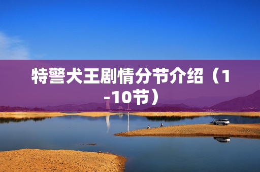 特警犬王剧情分节介绍（1-10节）