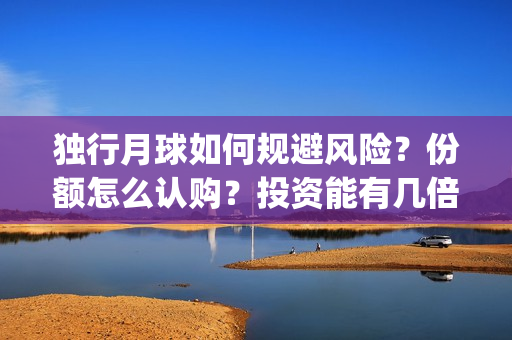 独行月球如何规避风险？份额怎么认购？投资能有几倍的回报率？(《独行月球》)