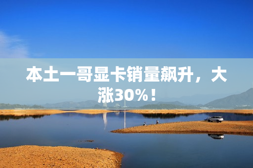 本土一哥显卡销量飙升，大涨30%！
