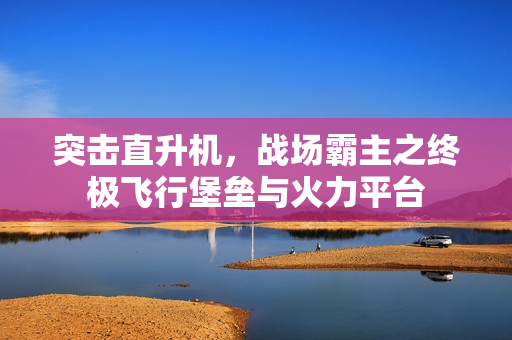 突击直升机，战场霸主之终极飞行堡垒与火力平台