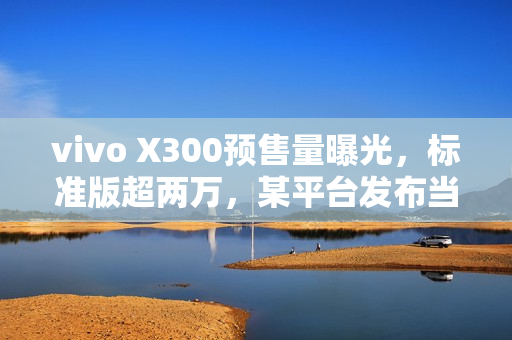 vivo X300预售量曝光，标准版超两万，某平台发布当晚预售量约三万