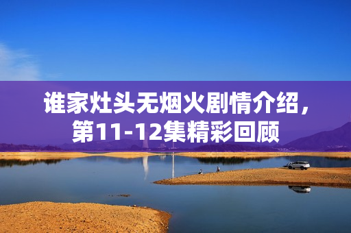 谁家灶头无烟火剧情介绍，第11-12集精彩回顾