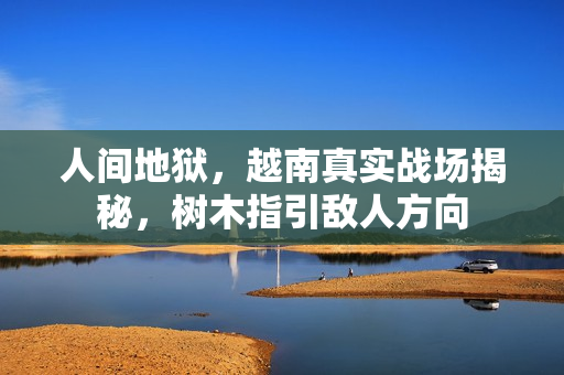 人间地狱，越南真实战场揭秘，树木指引敌人方向