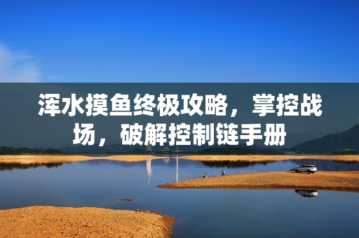 浑水摸鱼终极攻略,掌控战场,破解控制链手册 浑水摸鱼终极攻略,掌控战场,破解控制链手册
