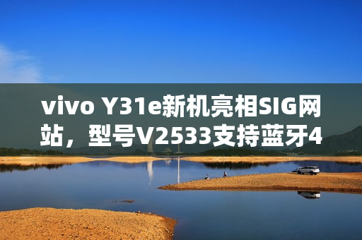 vivo Y31e新机亮相SIG网站，型号V2533支持蓝牙4.2功能曝光