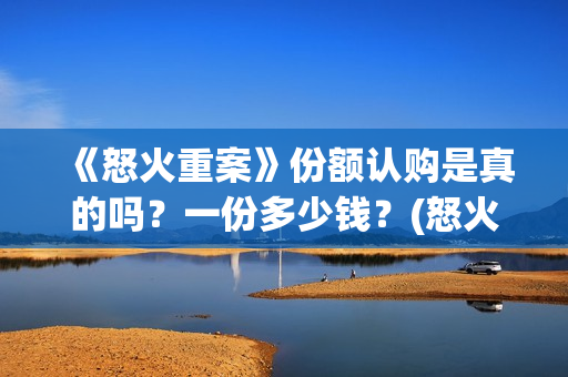 《怒火重案》份额认购是真的吗？一份多少钱？(怒火重案全剧情)