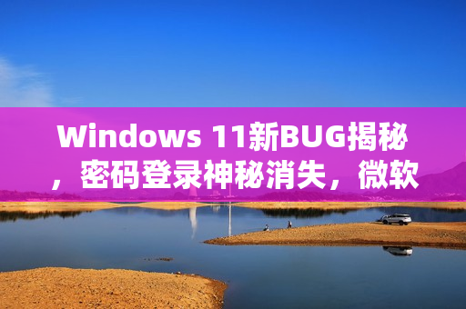 Windows 11新BUG揭秘，密码登录神秘消失，微软建议盲操应对