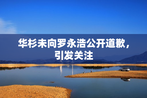 华杉未向罗永浩公开道歉，引发关注