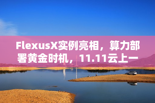 FlexusX实例亮相，算力部署黄金时机，11.11云上一步到位的解决方案
