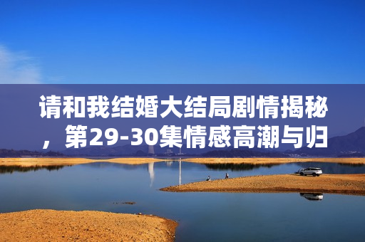 请和我结婚大结局剧情揭秘，第29-30集情感高潮与归宿