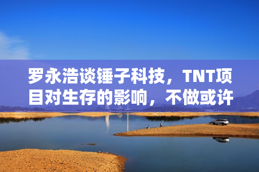 罗永浩谈锤子科技，TNT项目对生存的影响，不做或许能多撑几年