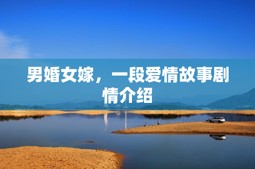 男婚女嫁，一段爱情故事剧情介绍