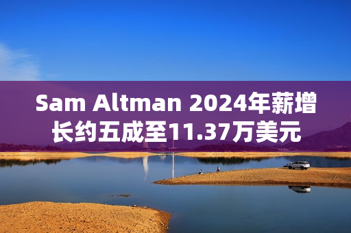 Sam Altman 2024年薪增长约五成至11.37万美元
