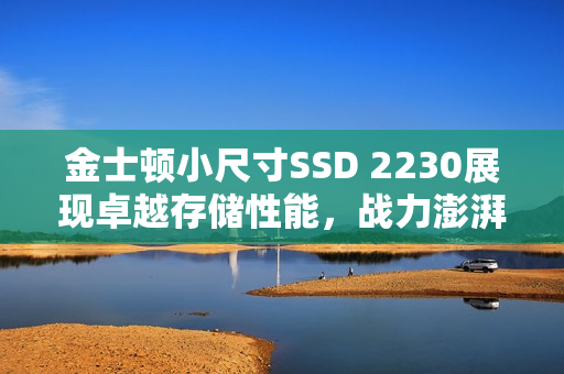 金士顿小尺寸SSD 2230展现卓越存储性能，战力澎湃
