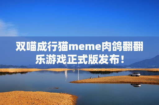双喵成行猫meme肉鸽翻翻乐游戏正式版发布！