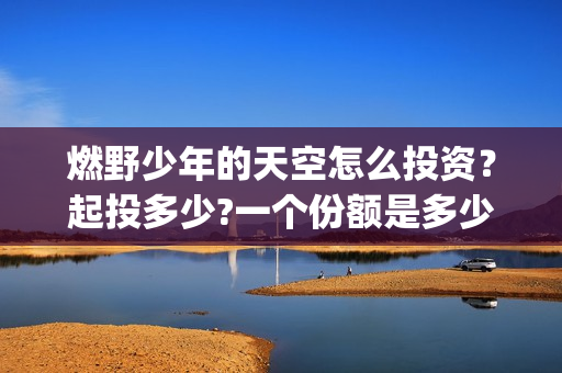 燃野少年的天空怎么投资？起投多少?一个份额是多少?(燃野少年的天空百度百科)