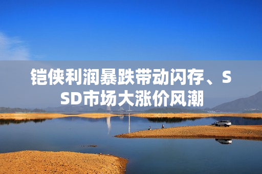 铠侠利润暴跌带动闪存、SSD市场大涨价风潮