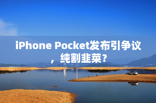 iPhone Pocket发布引争议，纯割韭菜？