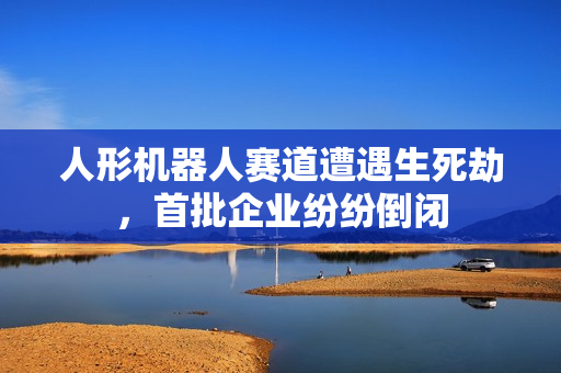 人形机器人赛道遭遇生死劫，首批企业纷纷倒闭