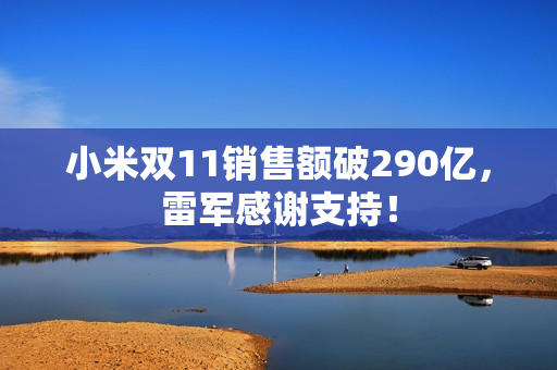 小米双11销售额破290亿，雷军感谢支持！