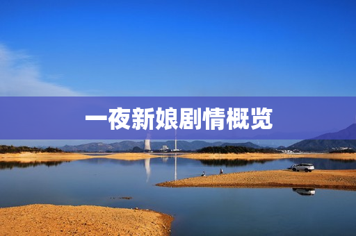 一夜新娘剧情概览