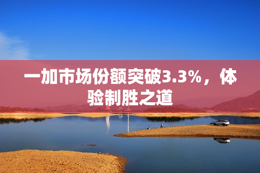 一加市场份额突破3.3%，体验制胜之道