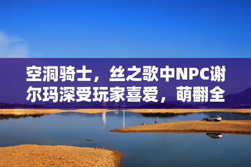 空洞骑士，丝之歌中NPC谢尔玛深受玩家喜爱，萌翻全场！