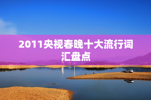 2011央视春晚十大流行词汇盘点