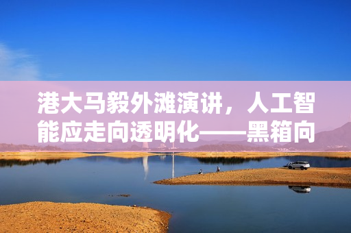 港大马毅外滩演讲，人工智能应走向透明化——黑箱向白箱的转变