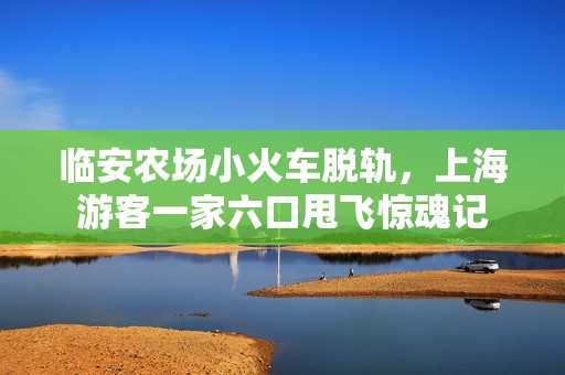 临安农场小火车脱轨,上海游客一家六口甩飞惊魂记 临安农场小火车脱轨,上海游客一家六口甩飞惊魂记