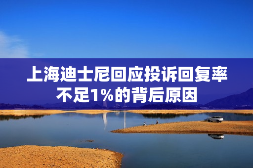 上海迪士尼回应投诉回复率不足1%的背后原因