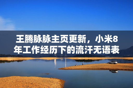 王腾脉脉主页更新，小米8年工作经历下的流汗无语表情包