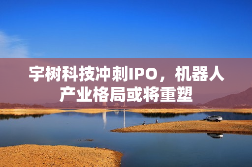 宇树科技冲刺IPO，机器人产业格局或将重塑