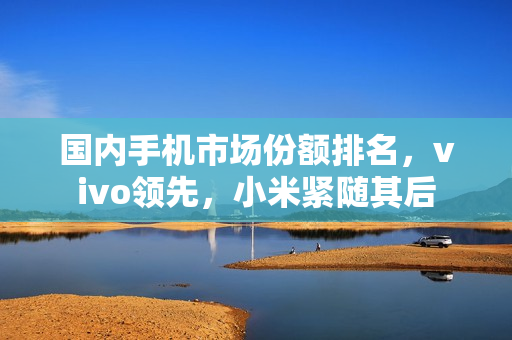 国内手机市场份额排名，vivo领先，小米紧随其后