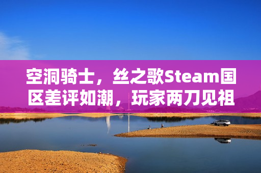 空洞骑士，丝之歌Steam国区差评如潮，玩家两刀见祖宗！