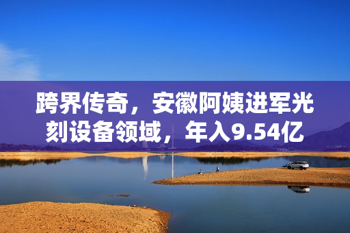 跨界传奇，安徽阿姨进军光刻设备领域，年入9.54亿