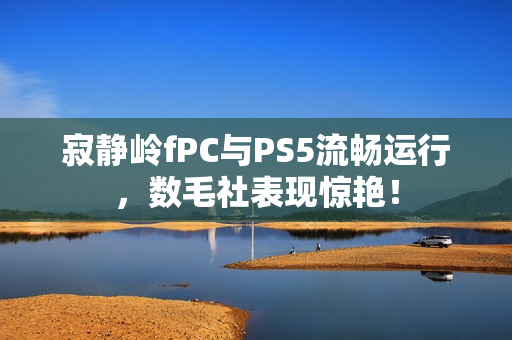 寂静岭fPC与PS5流畅运行，数毛社表现惊艳！