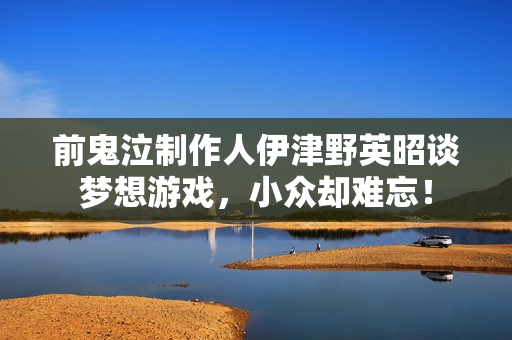 前鬼泣制作人伊津野英昭谈梦想游戏，小众却难忘！
