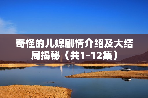 奇怪的儿媳剧情介绍及大结局揭秘（共1-12集）