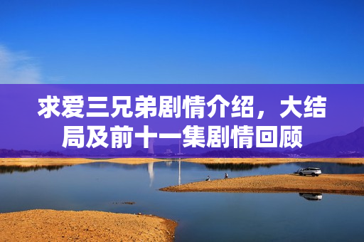 求爱三兄弟剧情介绍，大结局及前十一集剧情回顾