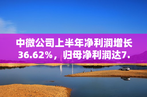 中微公司上半年净利润增长36.62%,归母净利润达7.06亿元 中微公司上半年净利润增长36.62%,归母净利润达7.06亿元