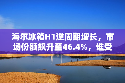 海尔冰箱H1逆周期增长,市场份额飙升至46.4%,谁受到了冲击? 海尔冰箱H1逆周期增长,市场份额飙升至46.4%,谁受到了冲击?