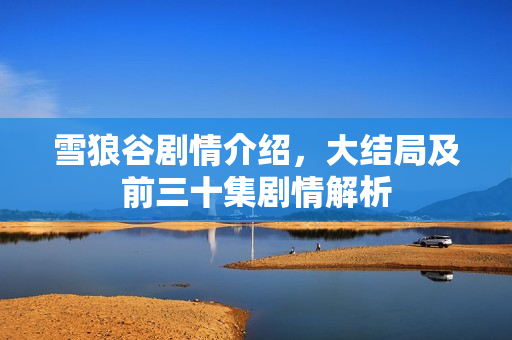 雪狼谷剧情介绍，大结局及前三十集剧情解析