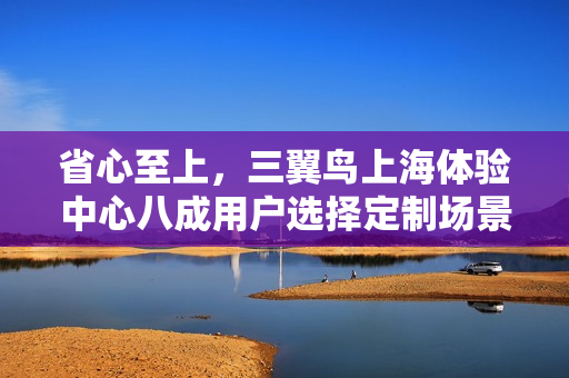 省心至上,三翼鸟上海体验中心八成用户选择定制场景服务 省心至上,三翼鸟上海体验中心八成用户选择定制场景服务