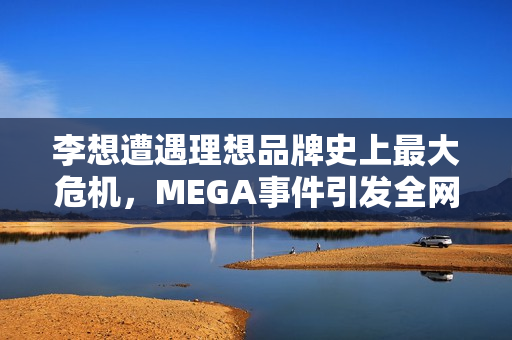 李想遭遇理想品牌史上最大危机，MEGA事件引发全网热议，连罗永浩都坐不住了