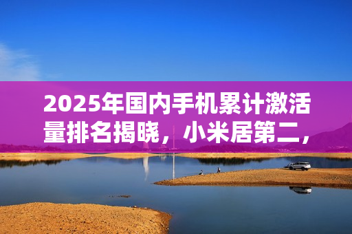 2025年国内手机累计激活量排名揭晓,小米居第二,苹果升至第五 2025年国内手机累计激活量排名揭晓,小米居第二,苹果升至第五