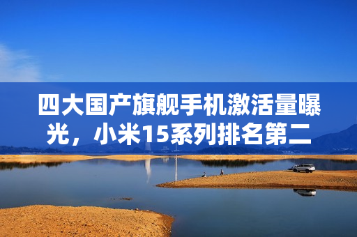 四大国产旗舰手机激活量曝光，小米15系列排名第二