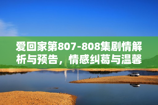 爱回家第807-808集剧情解析与预告，情感纠葛与温馨瞬间